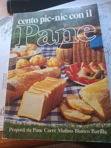 Libro cento pic nic - con, il