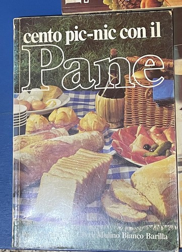 100 pic nic - il, pane